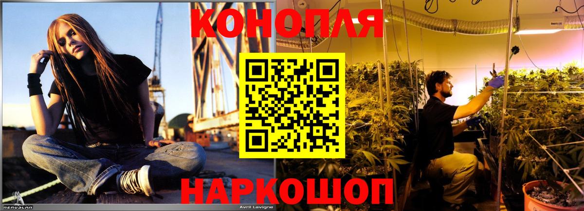 Марихуана SATIVA & INDICA Новочеркасск